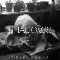 Album « by The New Division