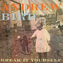 Album « by Andrew Bird