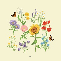 Album « by gnash